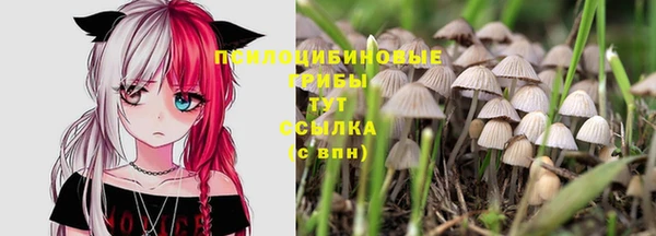 стафф Белоозёрский