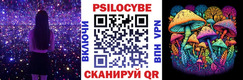 маркетплейс Telegram  ссылка на мегу маркетплейс  Псилоцибиновые грибы MAGIC MUSHROOMS  Юрьев-Польский  купить закладку 